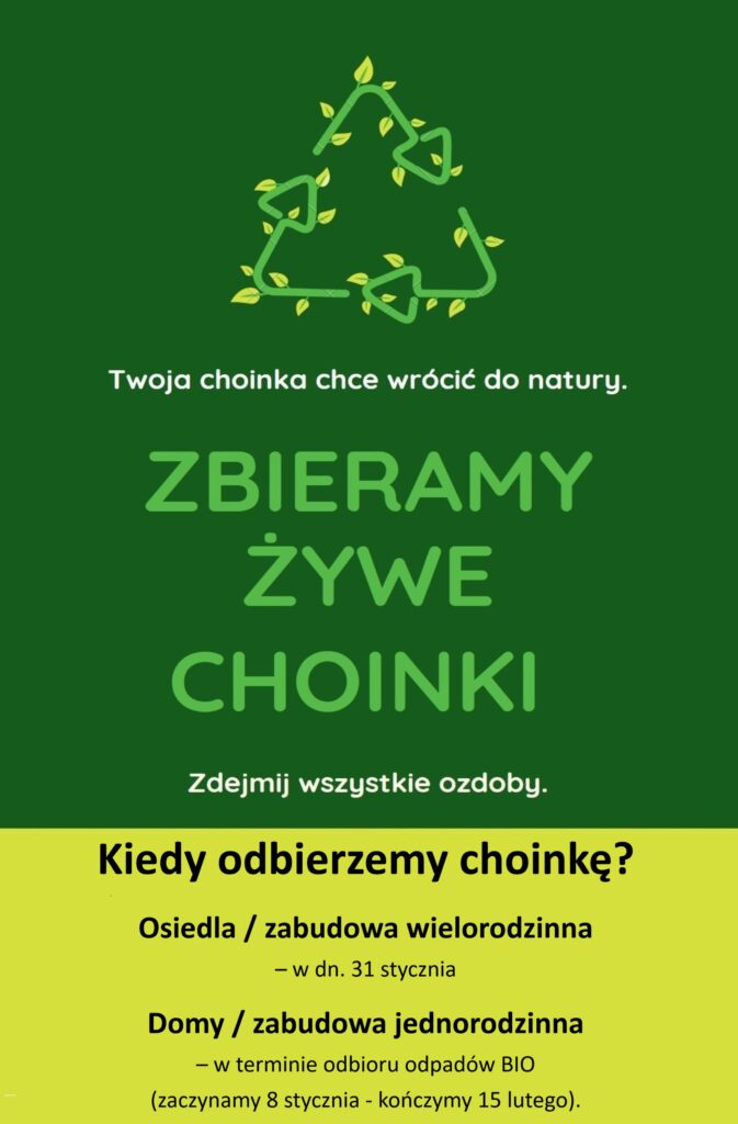 choinki2024 1a