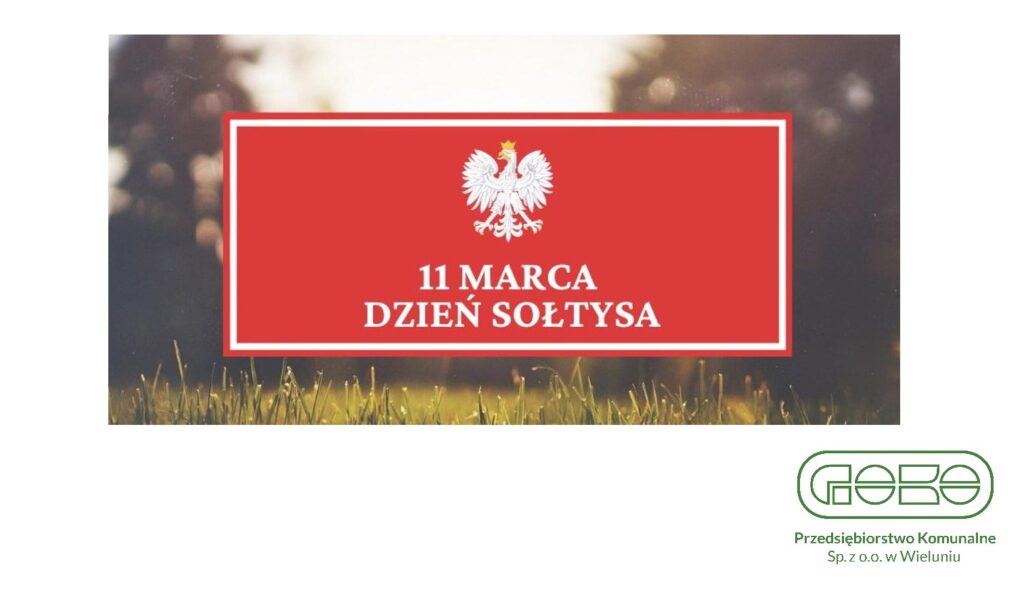 DzienSoltysa